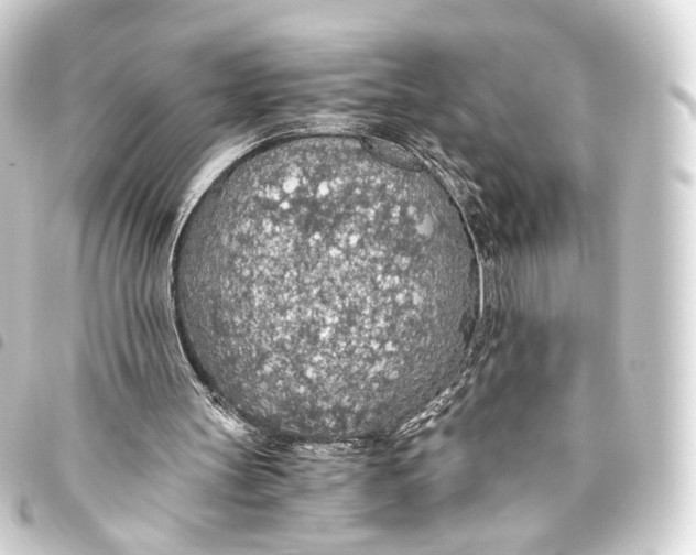 X0000093440147200711021101