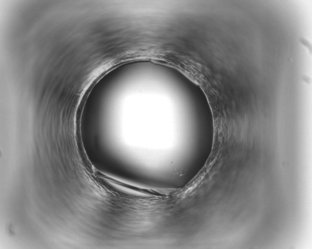 X0000093440148200711021101