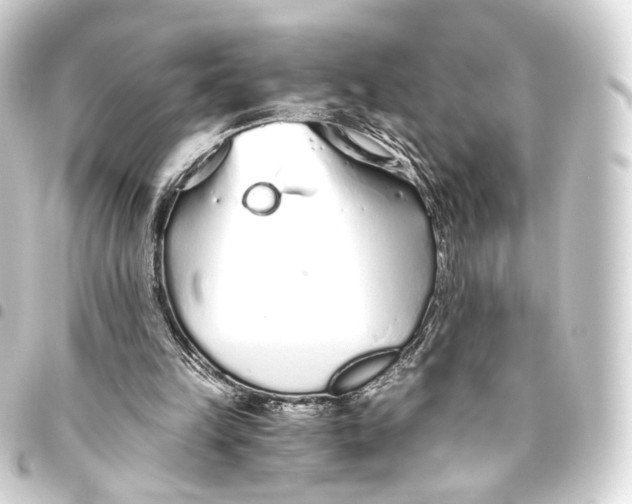 X0000093440149200711021101