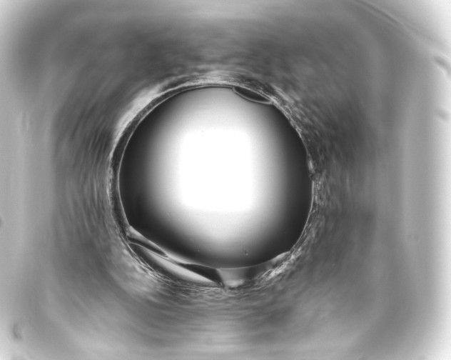 X0000093440152200711021101