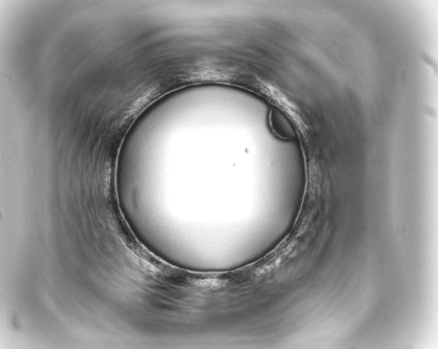 X0000093440153200711021101