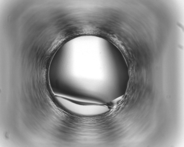 X0000093440154200711021101