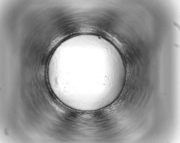 X0000093440155200711021101