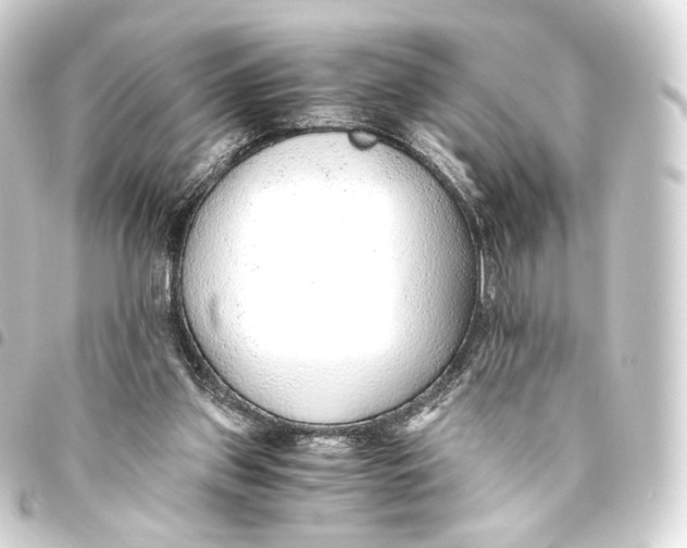 X0000093440157200711021101