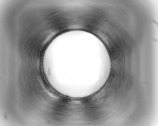 X0000093440159200711021101