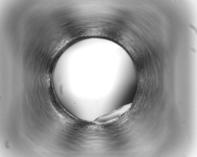 X0000093440160200711021101