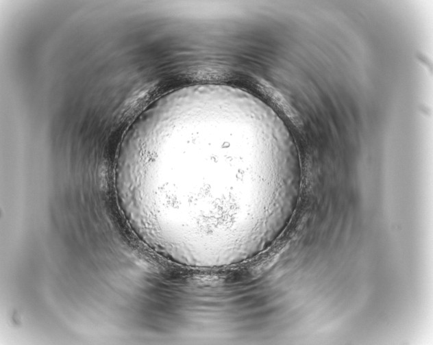 X0000093440161200711021101