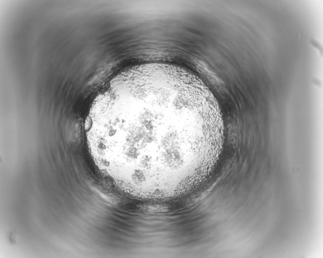 X0000093440165200711021101