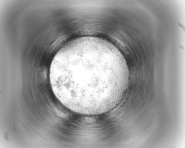 X0000093440166200711021101