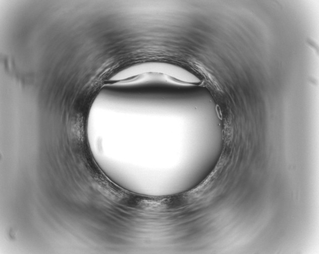 X0000093440170200711021101