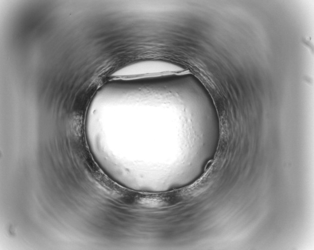 X0000093440171200711021101