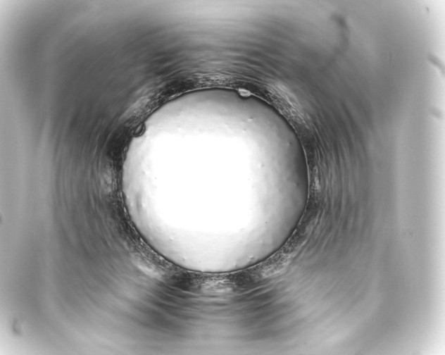 X0000093440173200711021101