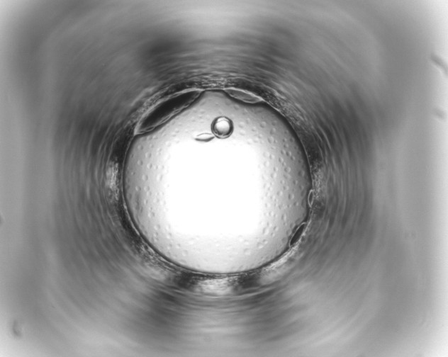 X0000093440178200711021101