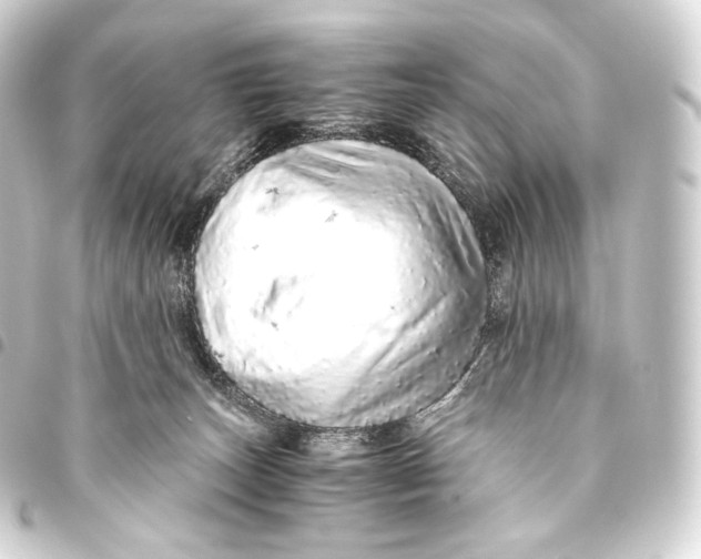 X0000093440179200711021101