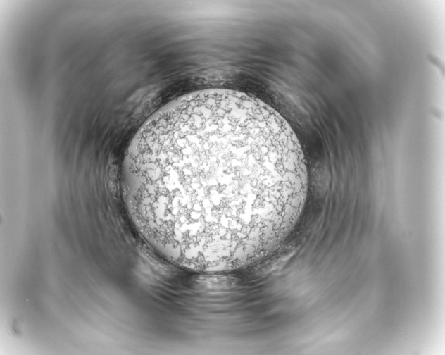 X0000093440181200711021101