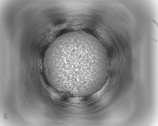 X0000093440182200711021101