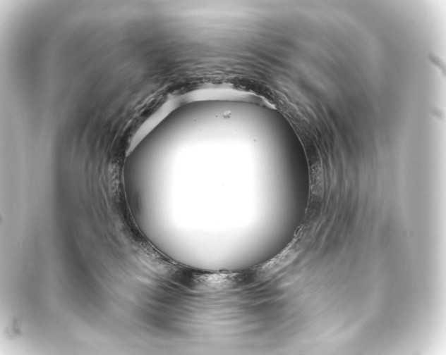 X0000093440184200711021101