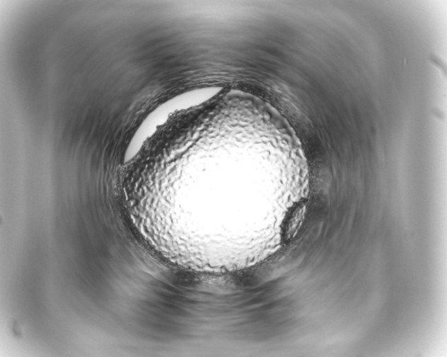 X0000093440185200711021101