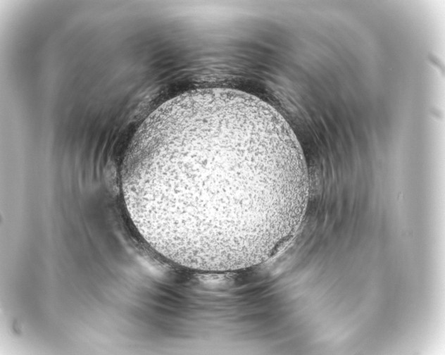 X0000093440187200711021101