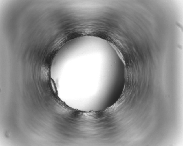 X0000093440188200711021101