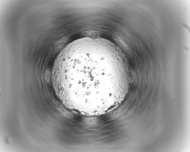 X0000093440189200711021101