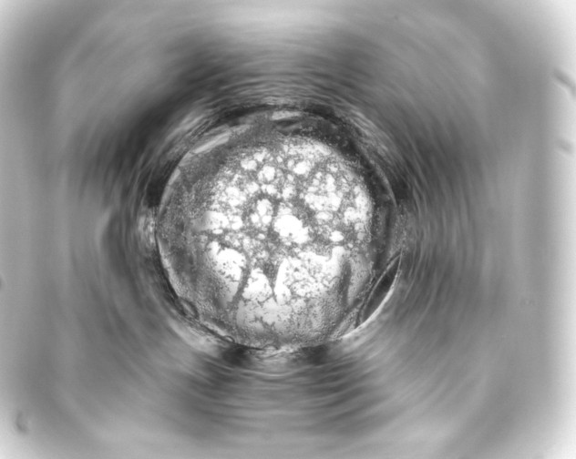 X0000093440191200711021101