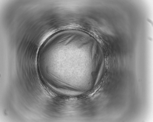 X0000093440196200711021100