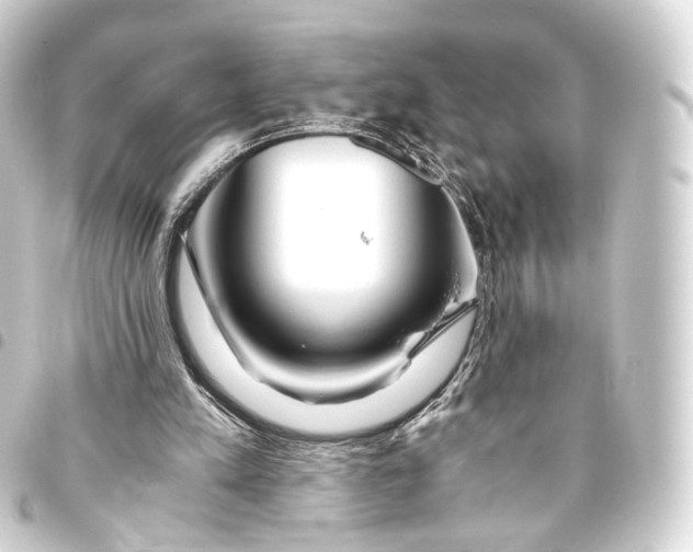 X0000093440197200711021100