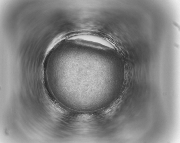 X0000093440198200711021100