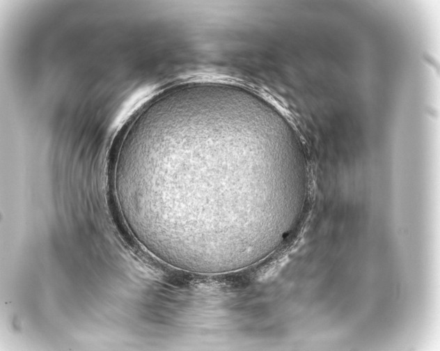 X0000093440199200711021100