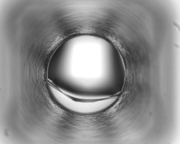 X0000093440201200711021100