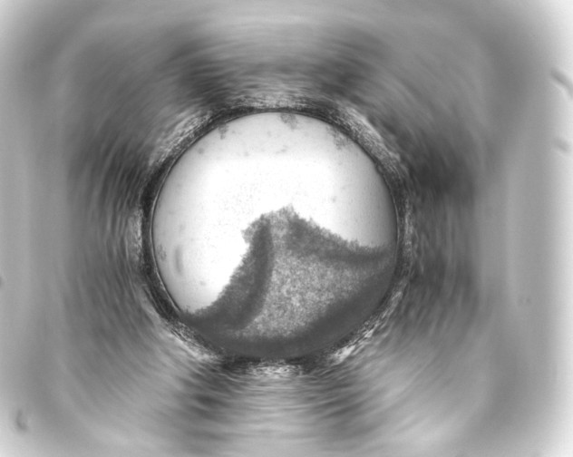 X0000093440202200711021100