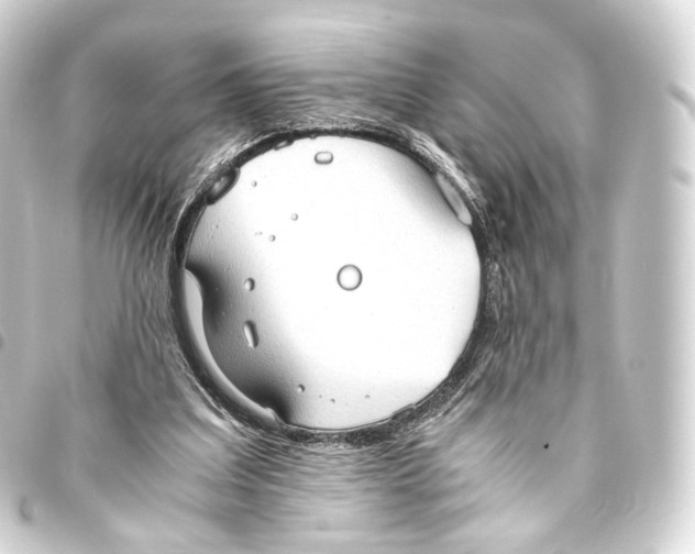 X0000093440203200711021100