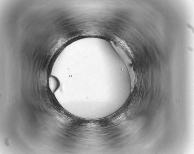 X0000093440204200711021100