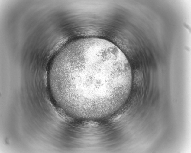 X0000093440206200711021100