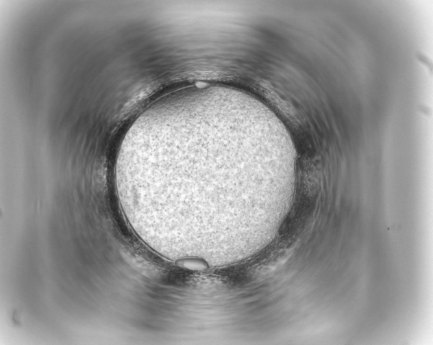 X0000093440207200711021100