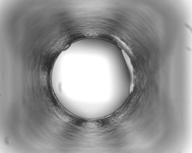 X0000093440209200711021100