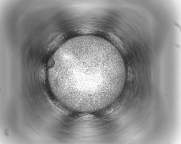 X0000093440210200711021100