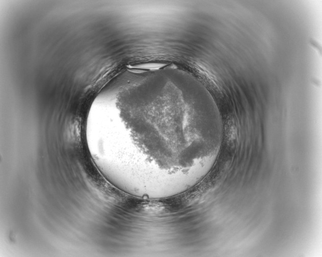 X0000093440214200711021100