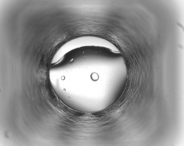 X0000093440215200711021100