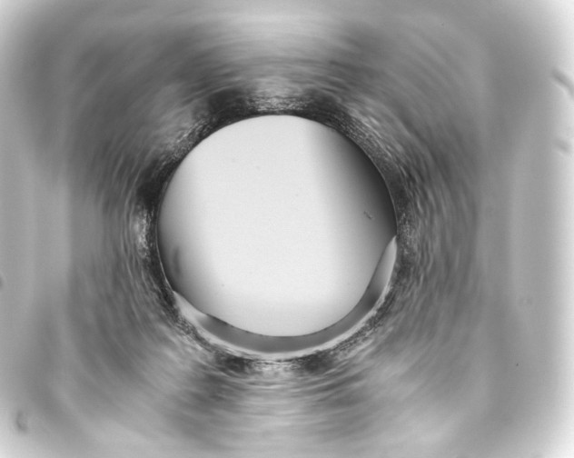 X0000093440219200711021100