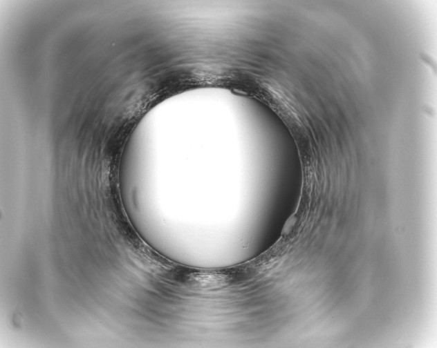 X0000093440221200711021100