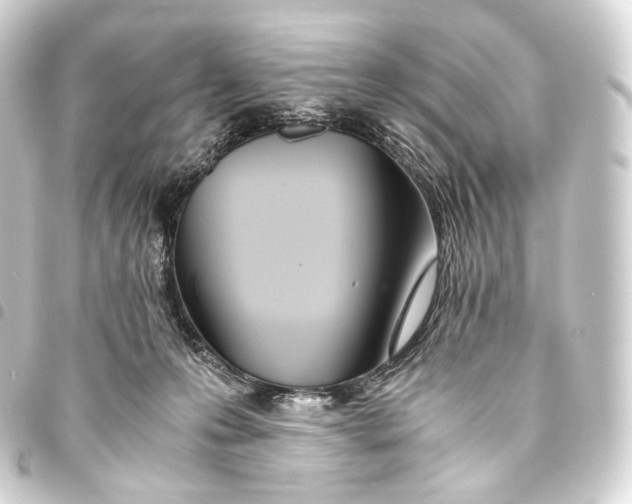 X0000093440223200711021100