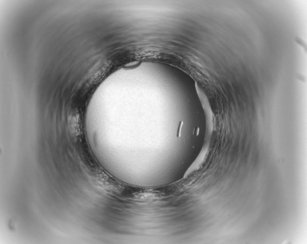 X0000093440224200711021100