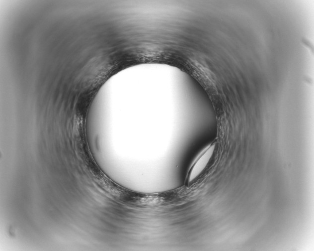 X0000093440225200711021100