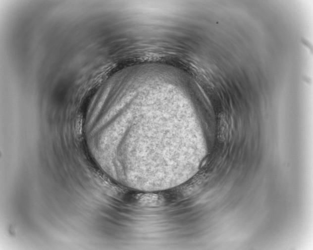 X0000093440230200711021100