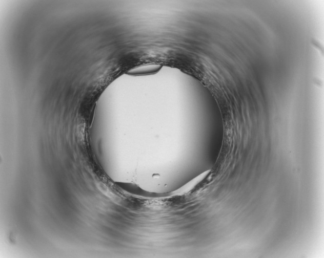 X0000093440231200711021100