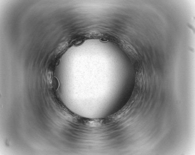 X0000093440232200711021100