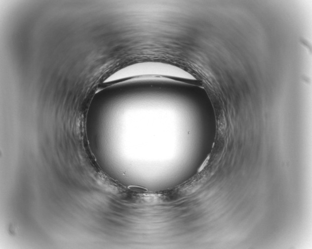 X0000093440233200711021100