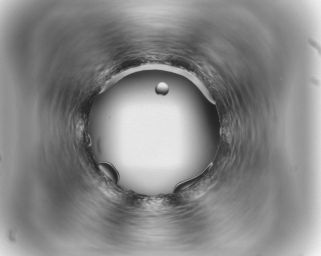 X0000093440235200711021100